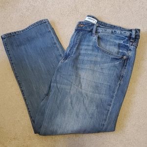 NWOT Lee Jean's Modern Series